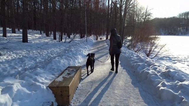 Команда "дальше". Отучаем собаку писать в неположенном месте. смотреть онлайн