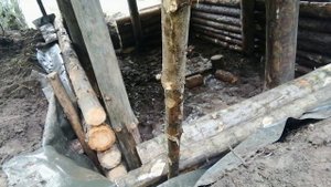 Землянка в глухом лесу часть 2. Один в глухом лесу. Ливень затопил землянку. Ставлю стены.