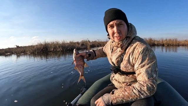 С УМА СОЙТИ ОТ ПОКЛЁВОК ЭТИХ МОНСТРОВ!НОЯБРЬСКАЯ РЫБАЛКА НА ЩУКУ.ЩУКА НА ВОБЛЕРЫ. смотреть онлайн