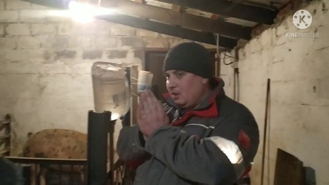 Вес поросят Пьетрен Дюрок в 20 дней смотреть онлайн