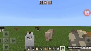 обзор мода на собак в minecraft ????