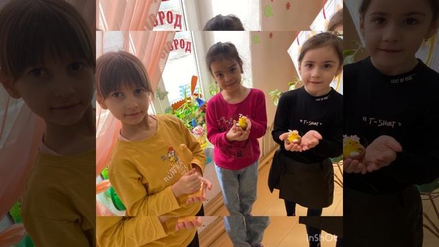 Огород на подоконнике в детском саду смотреть онлайн