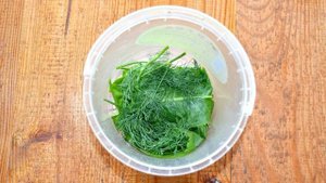 Малосольные огурцы в холодном рассоле