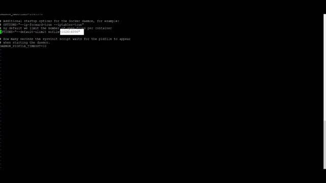 Installing the Docker runtime for your AWS Linux instance смотреть онлайн