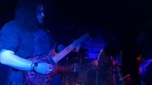 Виконт, "Белый всадник", Ярославль 27.03.2021 г., Территория