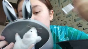 КРАШУ БРОВИ ХНОЙ!(такого никто не ожидал)