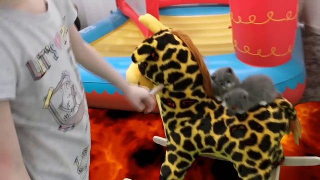 Пол это лава сборник историй про спасение котят смотреть онлайн