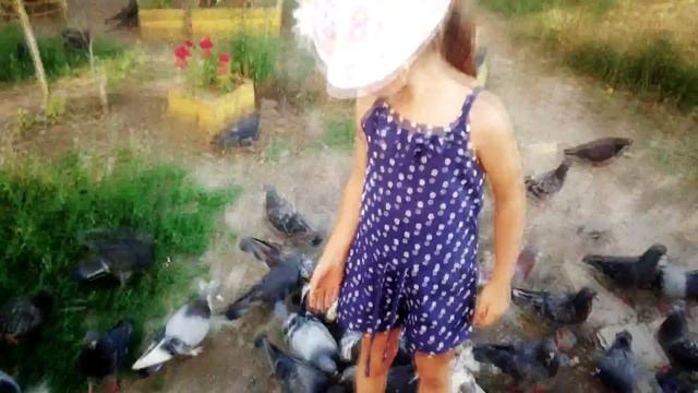 Арина кормит голубей смотреть онлайн