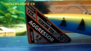 ВОБЛЕР GERMAN AGRESSOR КОПИЯ HALKO видео осмотр Мексиканец ТВ