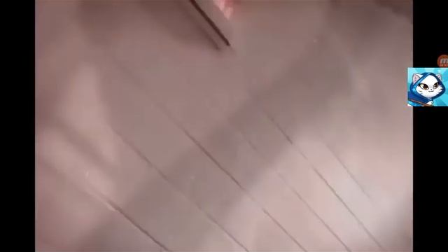 Топ 5 момо снятых на камеру (моё 1 топ 5) смотреть онлайн