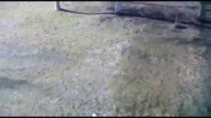 Как подключить телефон к квадрокоптеру sg907 5G 4K