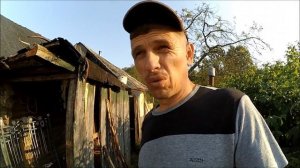 Урожай 2017 / Картофель, устойчивый к фитофторе