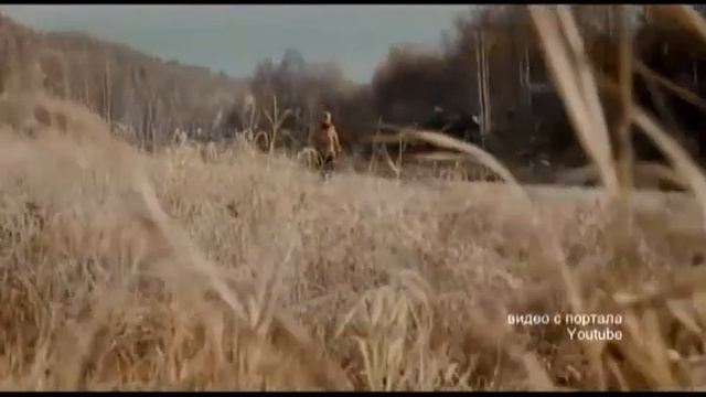 Марафон через Сахару смотреть онлайн