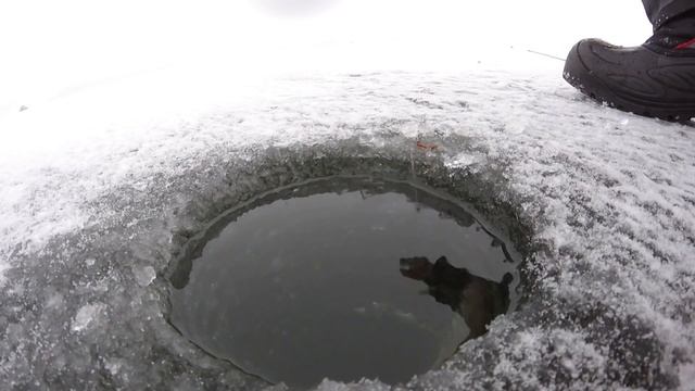 30.11.2016 г. Г. Магнитогорск, Заводской пруд - чебак. смотреть онлайн