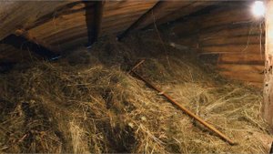 МЫ С ТОБОЙ НЕ ИГРАЛИ В ЛЮБОВЬ