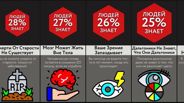 Жуткие Факты О ТЕБЕ смотреть онлайн