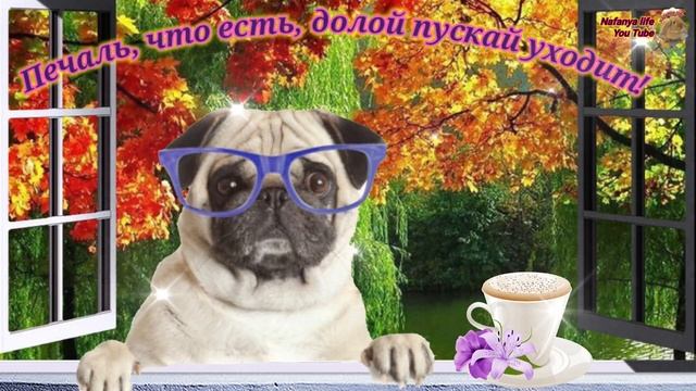 С первым осенним днем вас! Очень Красивое Поздравление в Стихах! смотреть онлайн