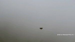 Неопровержимое доказательство НЛО