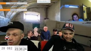 СТРИМ МОПСА ДЯДЯ ПЕС ИСКАЛ ГУБКИ А НАШЕЛ ПОДРУГУ