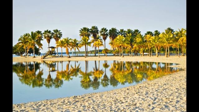 5 самых лучших пляжей Майами-Бич смотреть онлайн