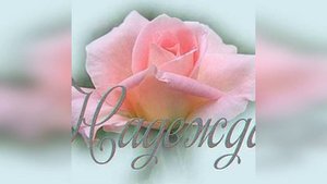 с Днем Ангела, Надежда! Красивое музыкальное поздравление Надежде ! В стихах