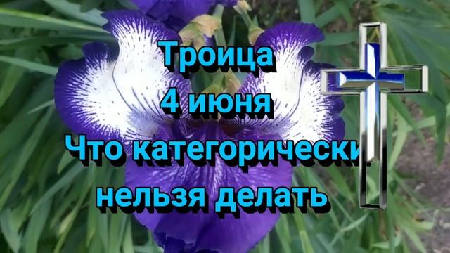 #4 июня #троица #Праздник #приметы #сейчас #добро #удача #лето #доброеутро смотреть онлайн
