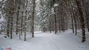 Волшебная музыка зимы. Самая красивая мелодия в мире! ВОССТАНОВЛЕНИЕ НЕРВНОЙ СИСТЕМЫ! Зимняя соната