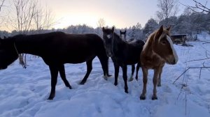 Рыбалка. Красноярский край, п.Щетинкина.
