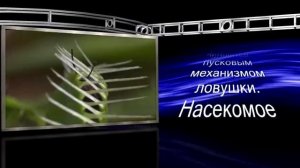 PRO100: ЗАГАДОЧНАЯ ПЛАНЕТА. ТАИНСТВЕННЫЕ РАСТЕНИЯ "Венерина мухоловка"