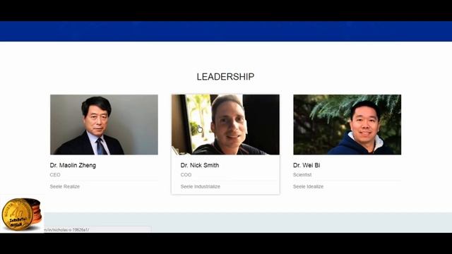 Seele.Обзор Команды,дорожной карты и токена смотреть онлайн