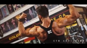 RISE UP _ Aesthetic Fitness & Bodybuilding Motivation