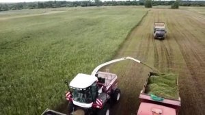 Дон 680м уборка сенажа...