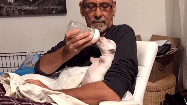 Ветеринар хотел усыпить щенка, родившегося без передних лап. ДО СЛЁЗ..? смотреть онлайн