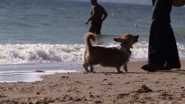 Felicity from House on The Hill смотреть онлайн