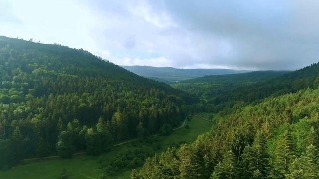 Гармония с Природным Магнетизмом: Медитация для Связи с Природой