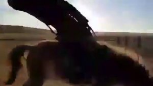 ОБЪЕЗДКА КОНЯ В КАЗАХСТАНЕ.