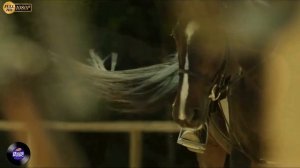 Подари Мне Этот Взгляд - 2023 Новинка!!!