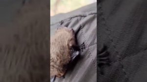 Интересно почему мальчики живут меньше девочки?!😓😓😓