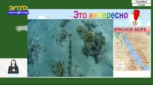 7-класс | География | Индийский океан