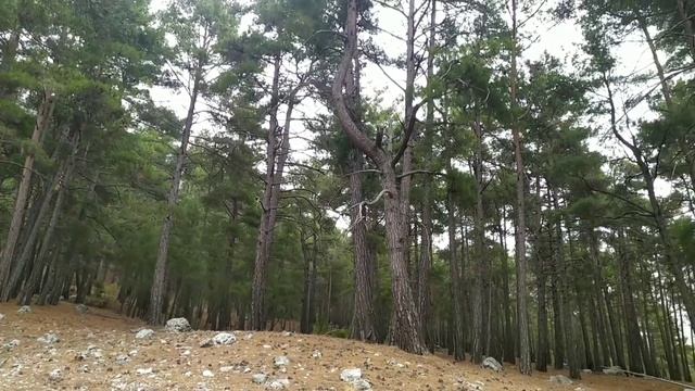 покорение горы Тахталы, Олимпус, Турция, Анталия смотреть онлайн