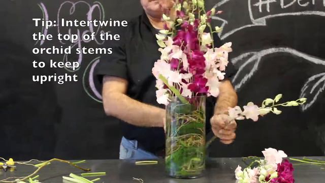 Refined Elegance Orchid Arrangement смотреть онлайн