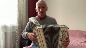 «ТАМ ШЛИ, ШЛИ ДВА БРАТА» Исп. Дмитрий Василюк/г. С-Петербург/Песни под гармонь