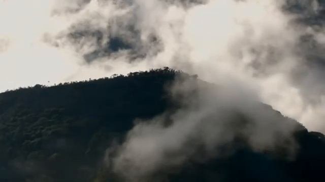 Послушание   это великий дар и великое средство ко спасению.Священник Игорь Сильченков