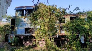 Брошенный ТГМ23-2118