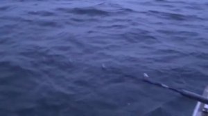 Рыбалка в Баренцевом море по пути на базу Типановка