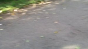 Мы с доцей катаемся на велосипедах