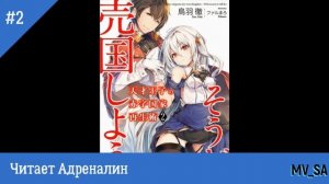 Руководство гениального принца по вызволению страны из долгов том 2
