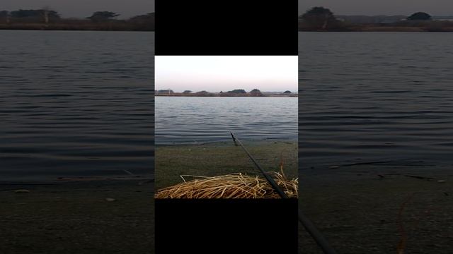 Отдых с удочкой на берегу