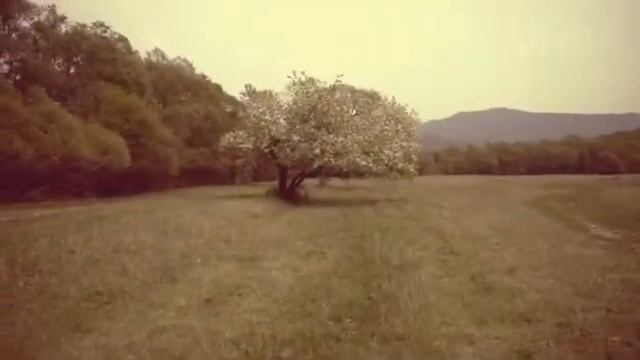 Как же хочется просто жить- Любоваться закатом, наслаждаться рассветом. Совершать безрассудное...