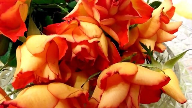 С Днём Татьяны! С Днём Ангела, Татьяна?? Красивое Поздравление с Днем Ангела Татьяны! Видео открытк